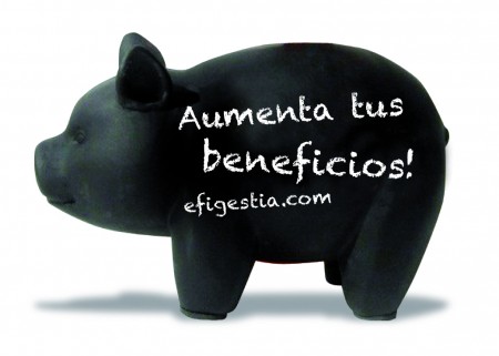 cerdito
